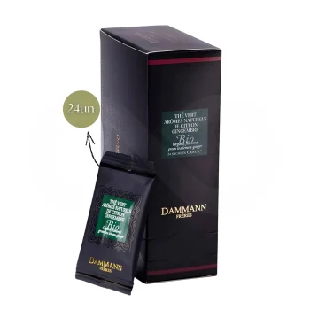 DAMMANN FRÈRES® Thé Arômes Citron Gingembre Bio 24 u.