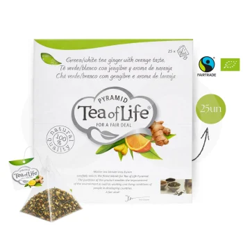 TEA OF LIFE® Thé Gingembre Et Orange 25 u.