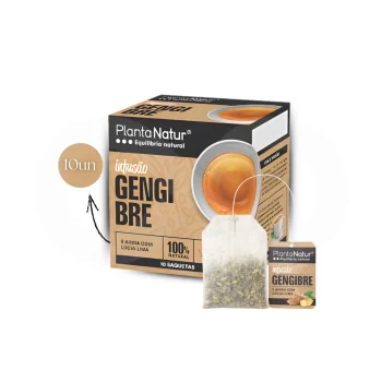 PLANTANATUR® Thé Gingembre 10 u.